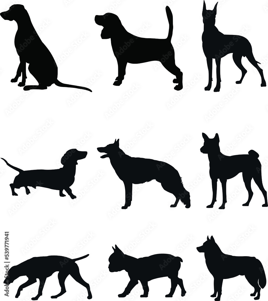 set of dog silhouettes Premium PNG 