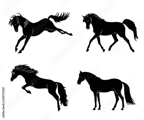 Black silhouette of a horse set. Body silhouettes for designer. There is a variant in a vector. Horse trotting walking silhouette vector icon