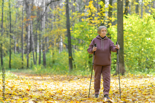 A retired woman in a purple suit with Nordic walking sticks. In a beautiful autumn park. Healthy lifestyle.