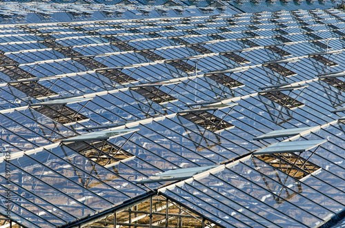 Repetitive pattern of opened windowsat a complex of greenhouses near the village of Monster in the Dutch horticulture region of Westland photo