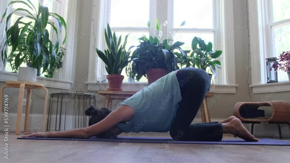 young woman indoors practicing yoga wellness healthy lifestyle stress mundfullnes america i canada young woman indoors practicing yoga wellness healthy lifestyle stress mundfullnes america i canada