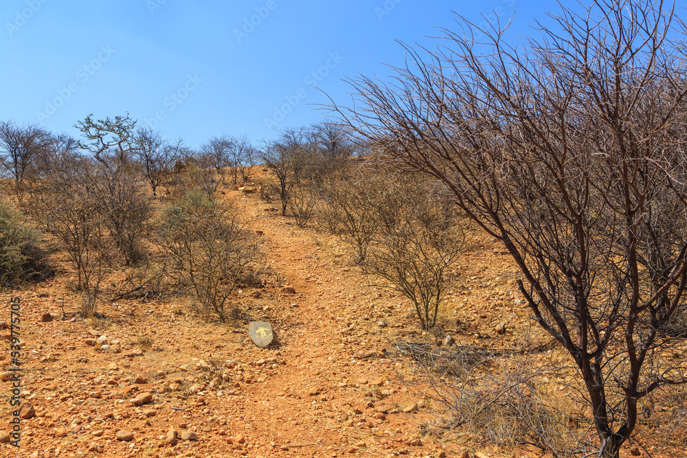 African savannah during a hot day. Oanob, Namibia. African savannah during a hot day. Oanob, Namibia.