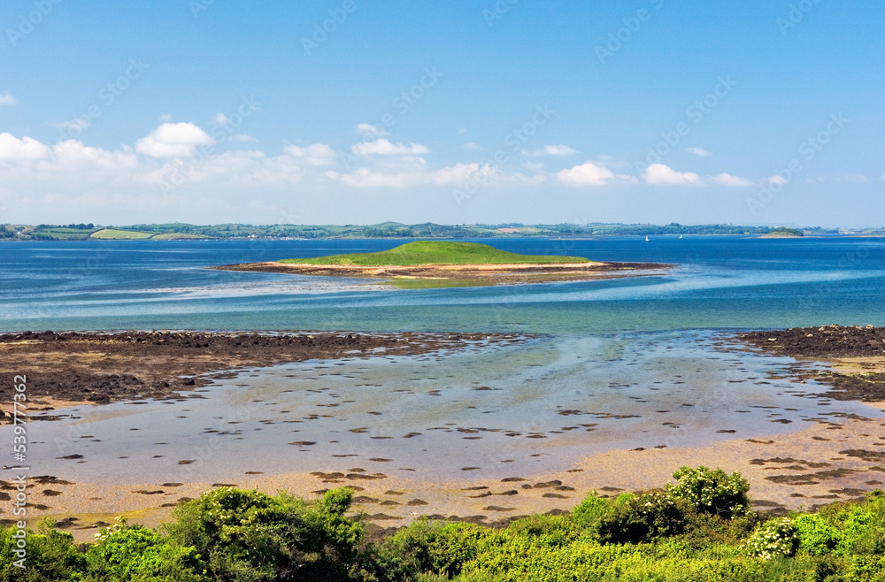 Strangford Lough, County Down, Ireland. Bird and marine habitat conservation site. South shore near Audleys Castle, Castleward.