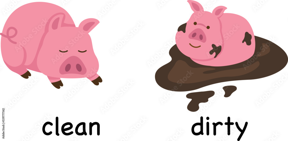 Opposite words clean and dirty vector illustration Opposite words clean and dirty vector illustration