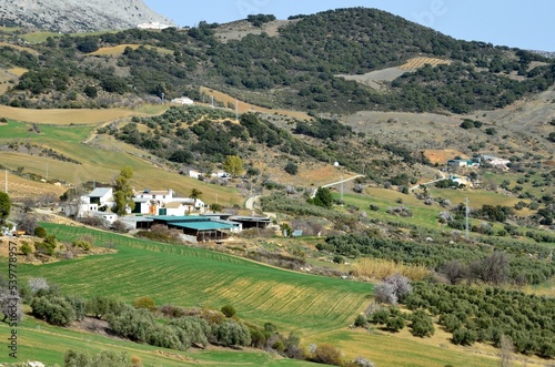 Valle en el sur de la Comarca de Antequera, Málaga, Andalucía, España