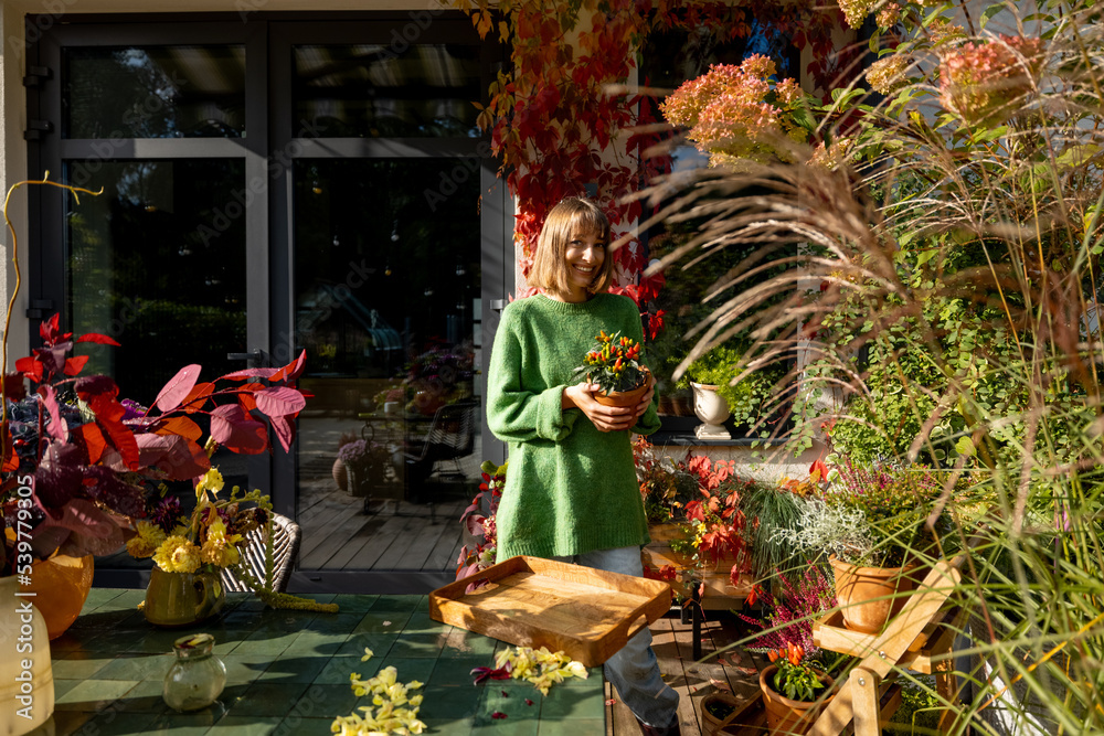 Woman takes care of plants and flowers at backyard in autumn. Beautiful leaves in yellow and red colors