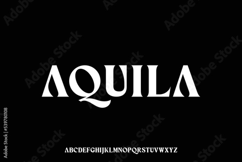 Elegant luxury bold serif display font vector