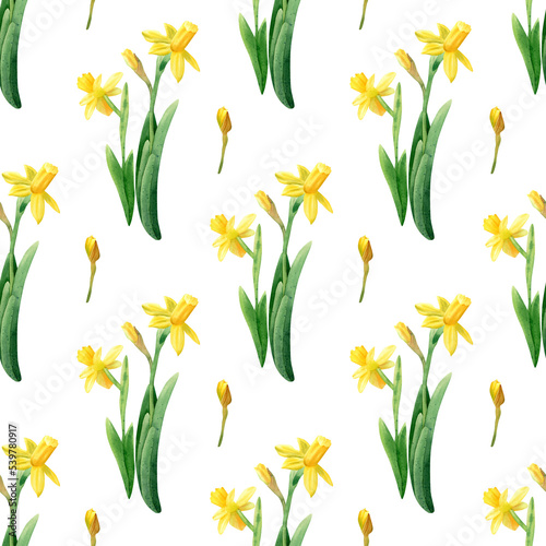 Fotografia, Obraz Seamless narcissus flowers pattern