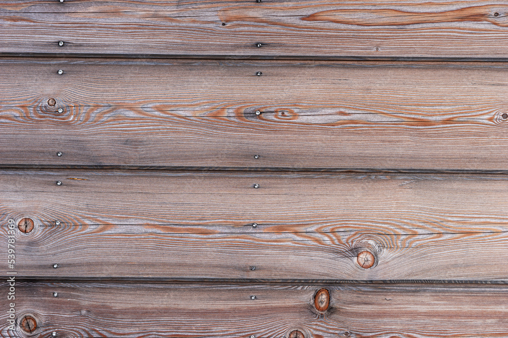 Natural wood texture. Wooden background surface