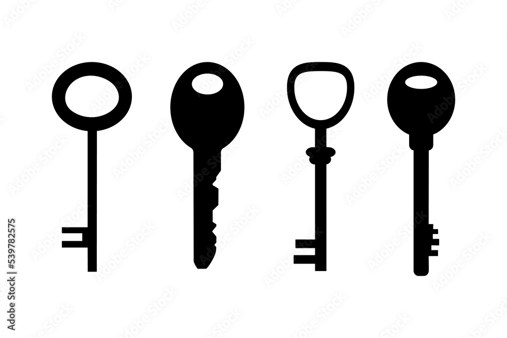 Set of keys in flat style. Vector illustration isolated on white background