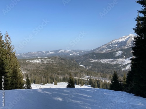 Views from winter hiking path in the forest. Mountain nature landscape. Forest landscape from walking, hiking in the mountains. Snowy path in the forest with bridge and river. Sunny winter day. 