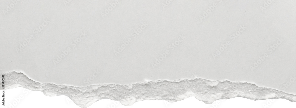 White ripped paper torn edges strips isolated on white background - obrazy, fototapety, plakaty 
