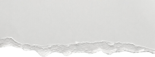 White ripped paper torn edges strips isolated on white background