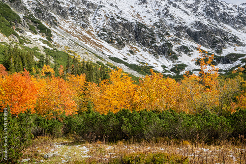 Autumn scene in Temnosmrecinska valley, High Tatras mountain, Slovakia photo