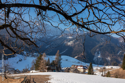 Tree branch with scenic view on hiking village Zell Pfarre (Sele), Austrian Alps, Carinthia (Kaernten), Austria, Europe. Snow capped mountain peaks of Karawanks, Julian Alps. Winter wonderland
