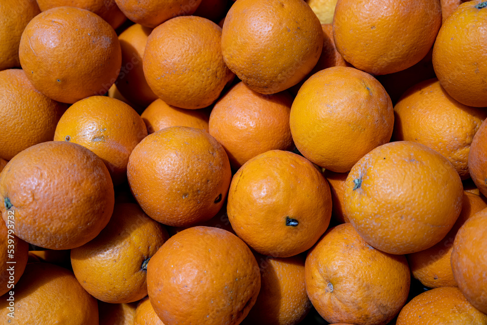 oranges in the market on a sunny day oranges in the market on a sunny day