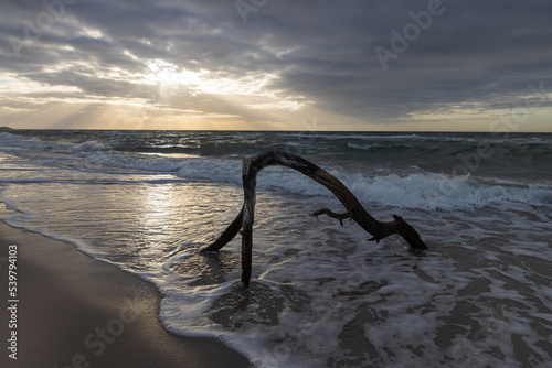 Driftwood at the beach with surf and dramatic sky.