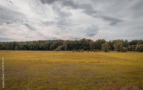 Overcast Cloudscape - Nature Sky Background