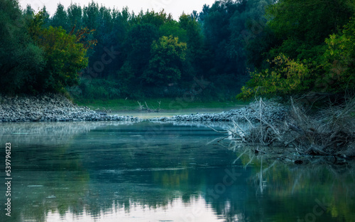 One of the backwaters of the Danube in the Gemenci area