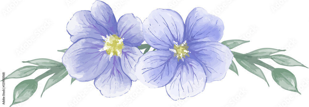iris flower isolated on white iris flower isolated on white