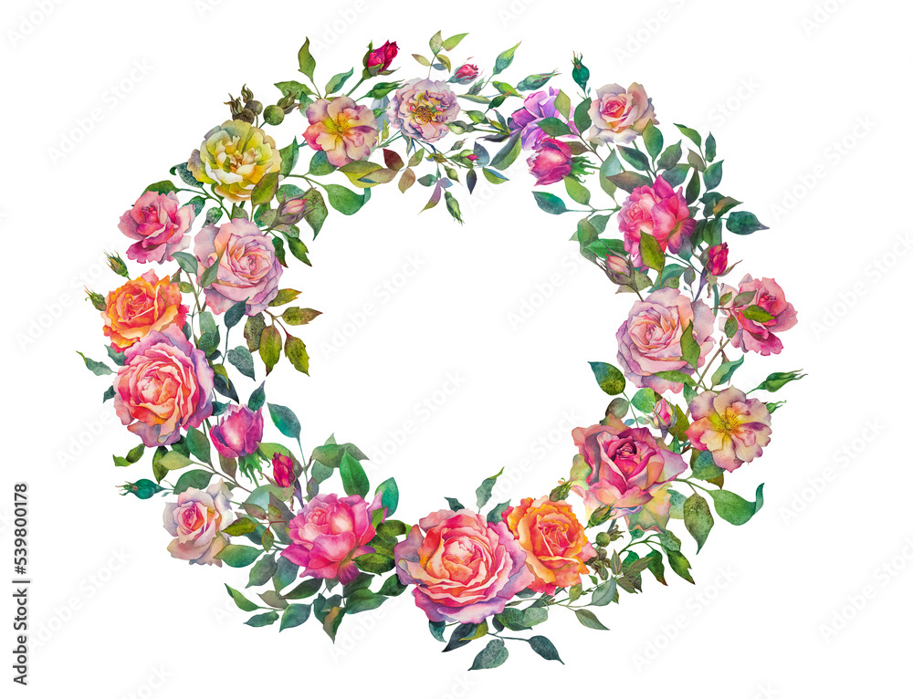 A wreath of roses. Round flower frame. Multicolored roses isolated on a white background. Botanical watercolor illustration.