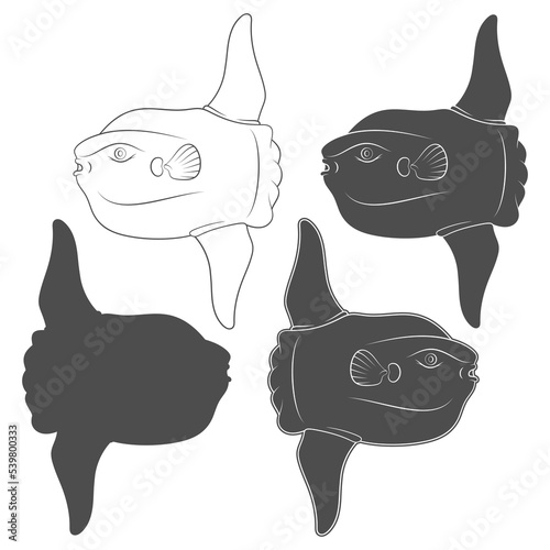 Set of black and white illustrations with fish moon, mola mola. Isolated vector objects on a white background.