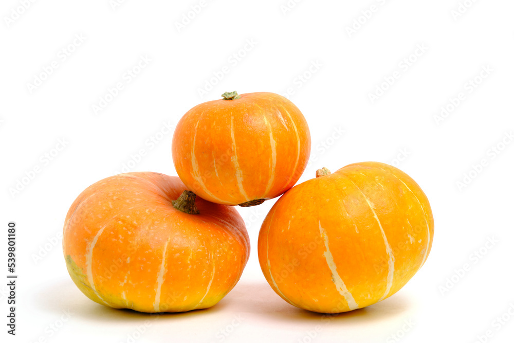 Obraz premium Three pumpkins white background, isolate.