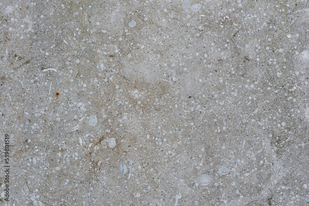 Obraz premium the natural stone wall background or texture