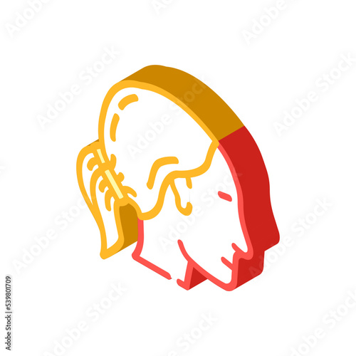 pigtails hairstyle female isometric icon vector. pigtails hairstyle female sign. isolated symbol illustration