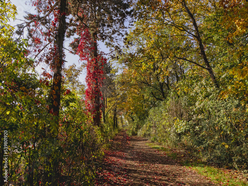 Farben de Herbstes photo