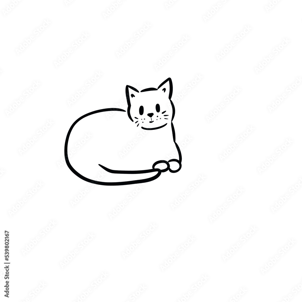 sketch cat, illustration cat