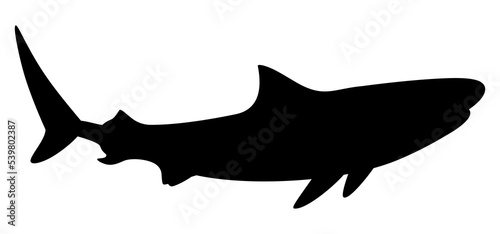 Shark Silhouette for Logo  Pictogram  Website  Art Illustration  Infographic  or Graphic Design Element. Format PNG