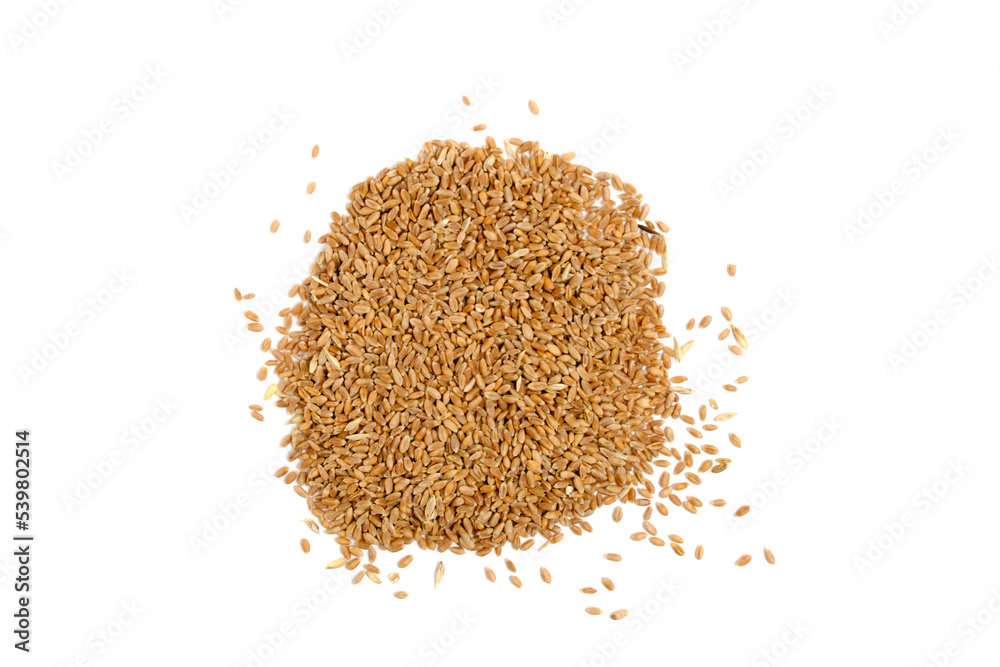 Wheat seeds white background, isolate. Wheat seeds white background, isolate.
