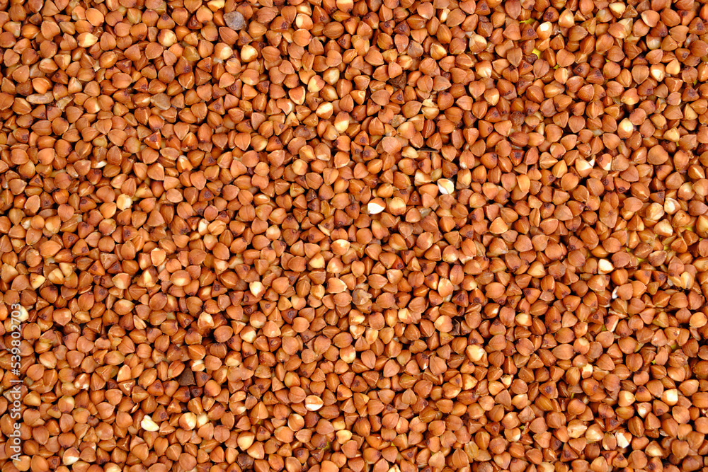 Abstract background, buckwheat buckwheat closeup. Abstract background, buckwheat buckwheat closeup.
