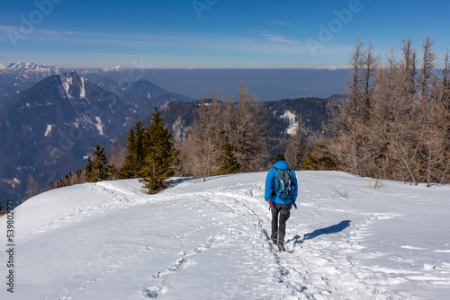 Man on a snow shoe track leading to mountain summit Freiberg near Zell Pfarre (Sele), Austrian Alps, Carinthia (Kaernten), Austria, Europe. Winter wonderland on sunny day in Karawanks, Julian Alps