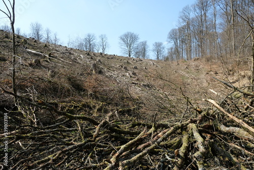 FU 2022-03-26 Siegsteig 57 Am Hügel ist eine Stelle mit Kahlschlag