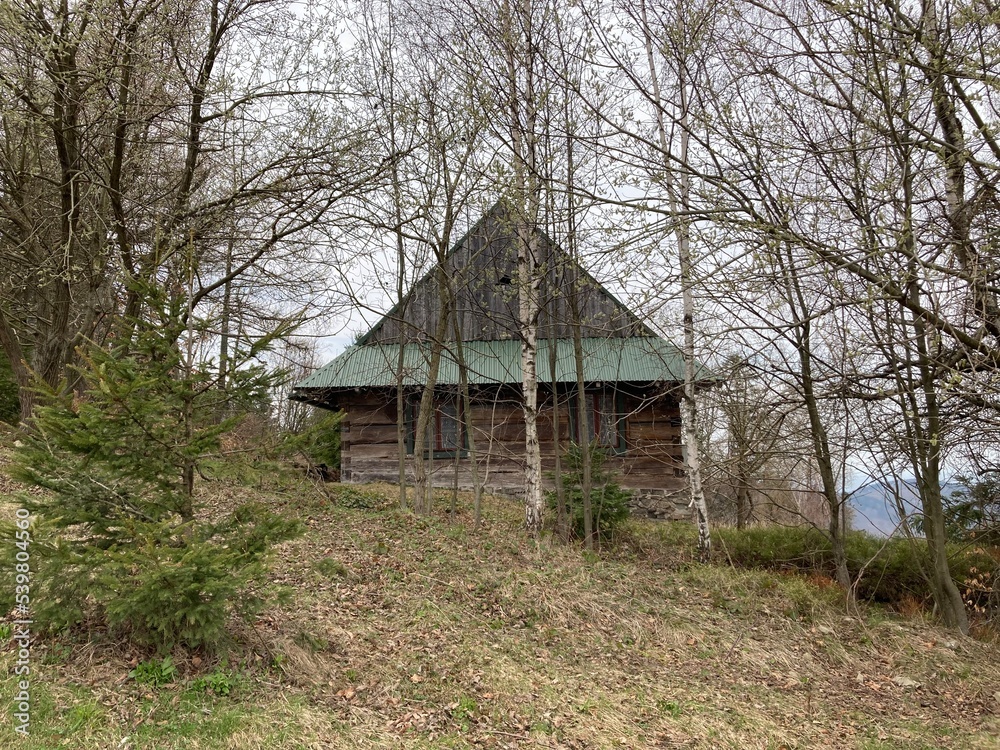 Mountain modern house. Old cabin log house in the mountain. Shelter on the hiking path. Wooden house in the forest in mountains. Old wood and stone house with the trees. Summer hiking day. Mountain modern house. Old cabin log house in the mountain. Shelter on the hiking path. Wooden house in the forest in mountains. Old wood and stone house with the trees. Summer hiking day.