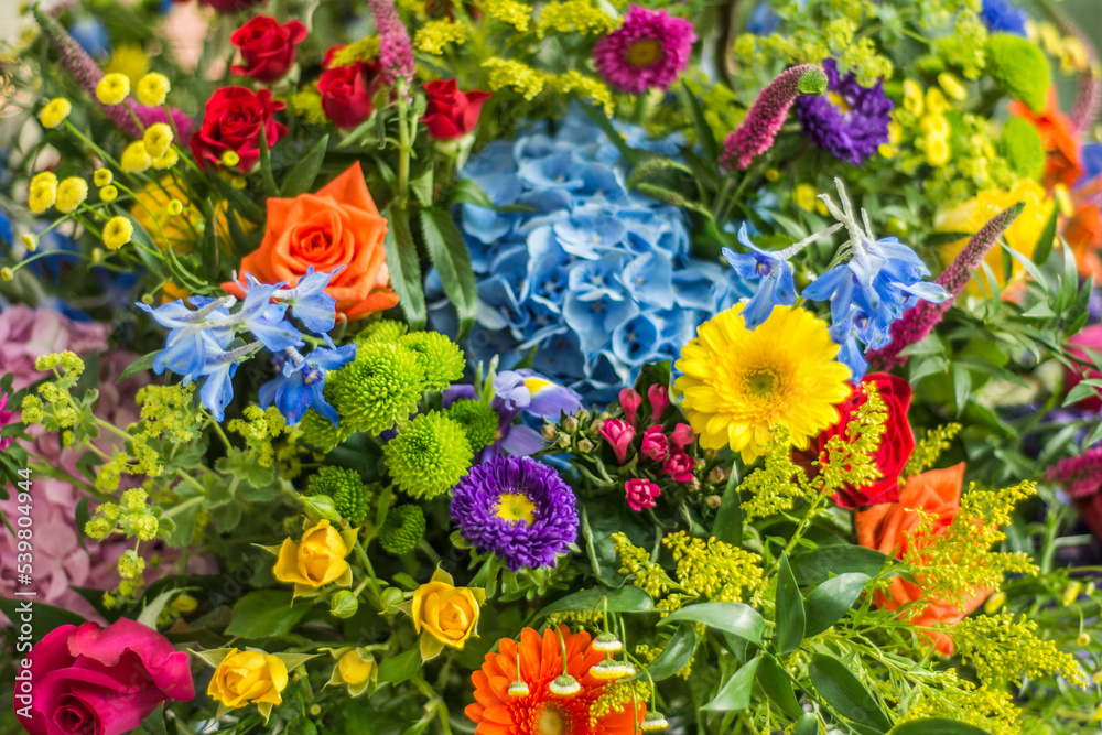 colorful flowers 