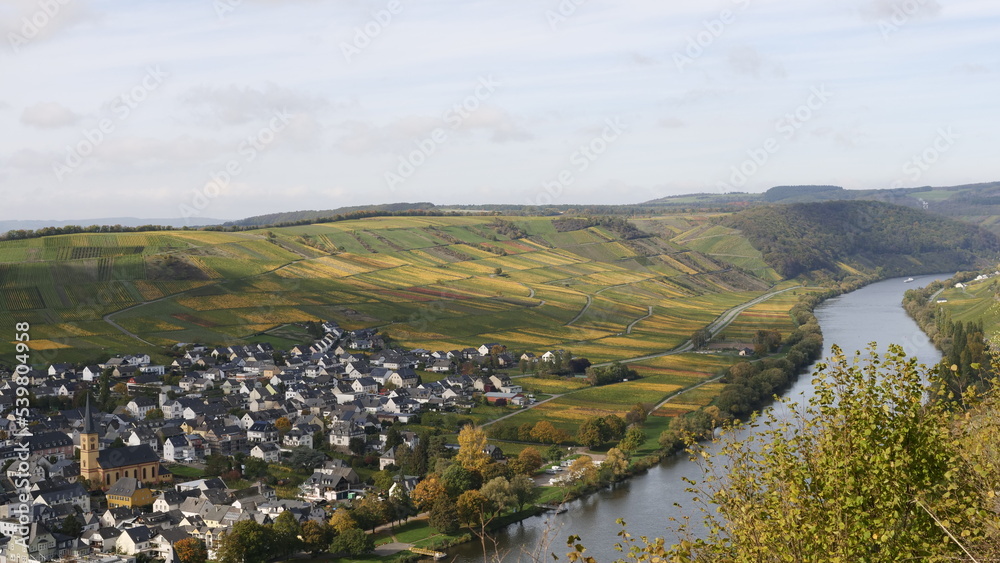 Obraz premium Abwärts der Mosel bei Trittenheim