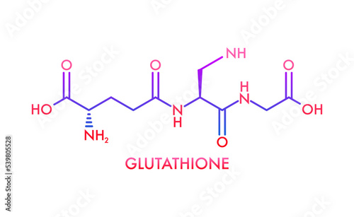 Glutathione chemical formula. Reduced glutathione, GSH. Vitamin solution complex. Vector stock illustration.