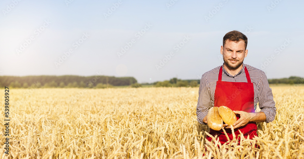 Man wearing apron holding bread in his hands while standing on wheat field.
