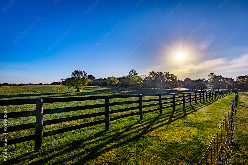 Fences separating pastures of a horse farm in rural Kentucky