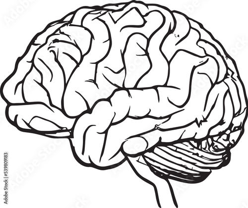 Human brain black and white isoloted vector illustration medical health