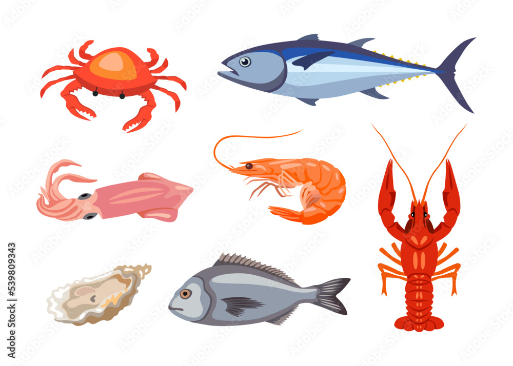 Different seafood or marine animals cartoon illustration set. Crab, lobster, oyster, fish, tuna, shrimp, mussel, salmon and crayfish isolated on white background. Gourmet food concept