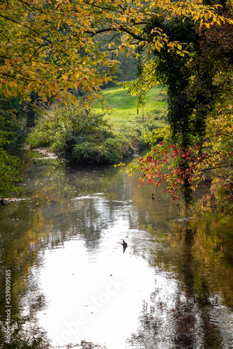 Laxenburg park elements and plants, landscape and architecture at the autumn in Austria