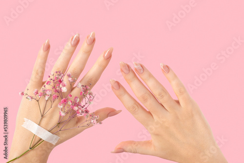 Female two hands with pink gypsophila flowers gel polish beige long nails on a pink isolated background. Beauty spa concept, manicure marble design