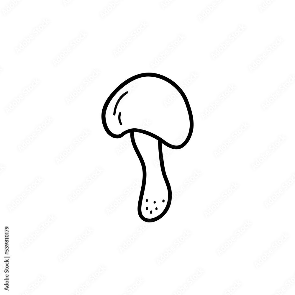 Fototapeta premium Edible mushroom on a thin stalk. Boletus or white mushroom. Black and white vector isolated illustration hand drawn doodle. Single element, print or card. Forest harvest