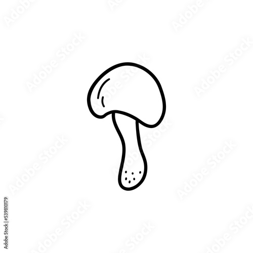 Edible mushroom on a thin stalk. Boletus or white mushroom. Black and white vector isolated illustration hand drawn doodle. Single element, print or card. Forest harvest