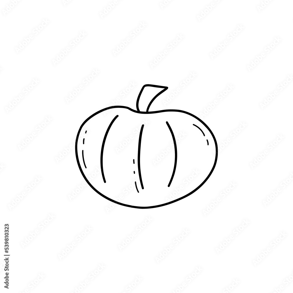 Cute pumpkin. Black and white doodle vector isolated illustration hand drawn. Happy Halloween. Harvesting autumn season. Ripe gourd, organic vegetable food icon Cute pumpkin. Black and white doodle vector isolated illustration hand drawn. Happy Halloween. Harvesting autumn season. Ripe gourd, organic vegetable food icon