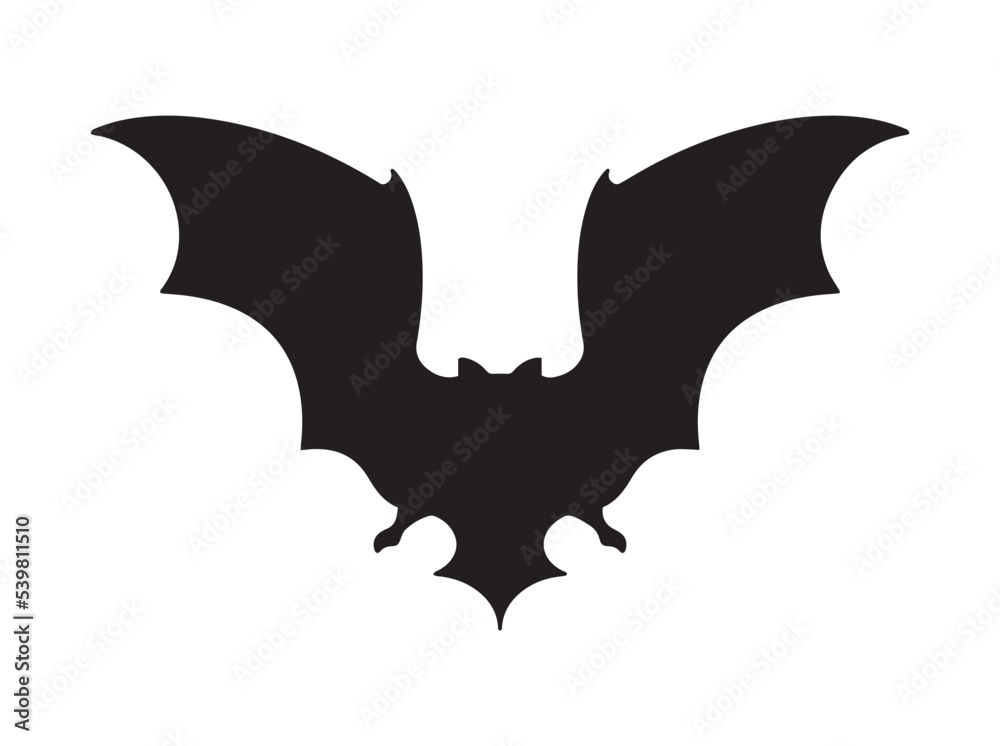Fototapeta premium Vector illustration of bat.